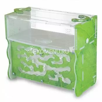 Вертикальная муравьиная ферма Level "Зеленый лист"