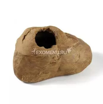 Влажная камера для рептилий и амфибий средняя, 15х9х8см