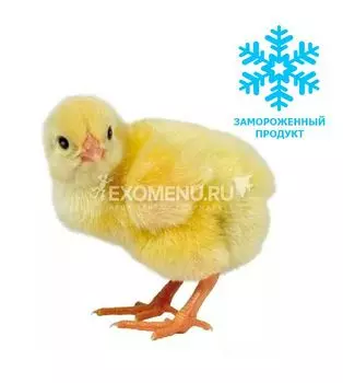 Замороженные суточные цыплята (10шт)
