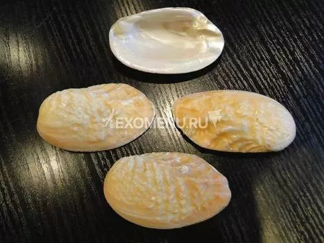 Жемчужница перл.желтая ребристая