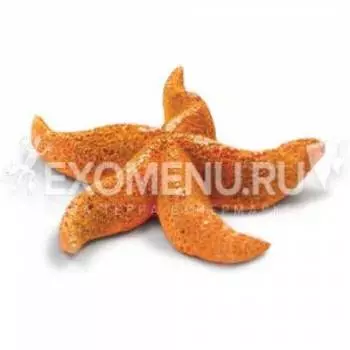 Звезда морская искусственная 2921LD "Астерина мини", 64*57*16мм