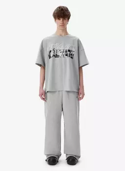 Футболка Icalmate Grey FABLE