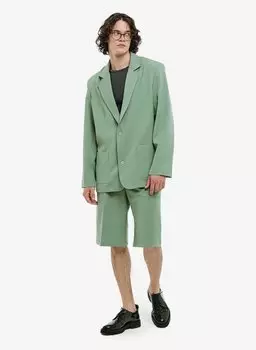 Пиджак Klassik 2.0 Light green FABLE