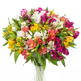 Альстромерии