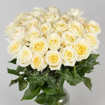 Белые розы Candlelight