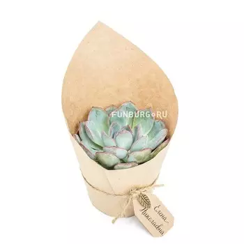 Бонбоньерка «Каменная роза»