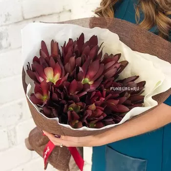 Букет «Горький шоколад»