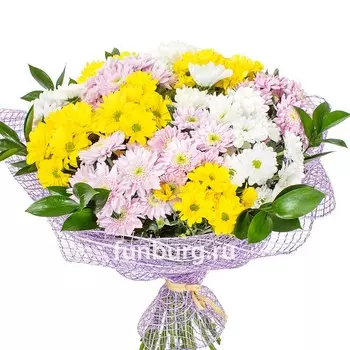 Букет хризантем «Краски весны»