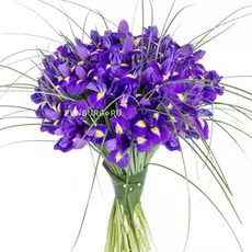 Букет ирисов «Аквамарин»