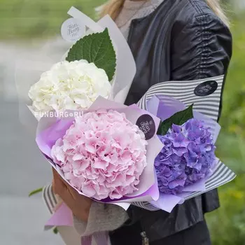 Букет «Оформление гортензии»