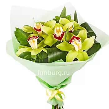 Букет орхидей «Изумрудный»