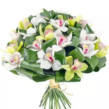 Букет орхидей «Венера»