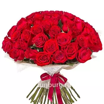 Букет роз «Казанова»