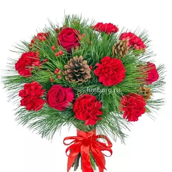 Букет «Шишечка»