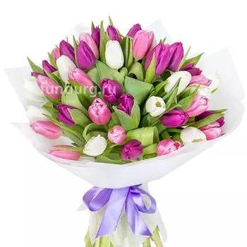 Букет тюльпанов «Неаполь»