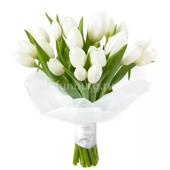 Букет тюльпанов «Снежная королева»