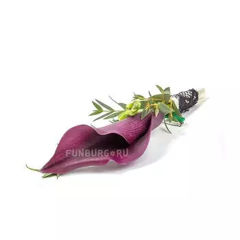 Бутоньерка «Трансильвания»