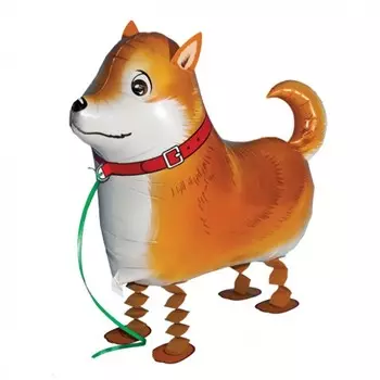 Ходящий шар «Лайка»