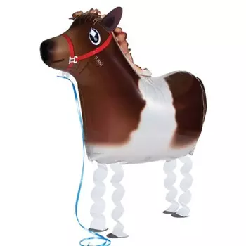 Ходящий шар «Пони»