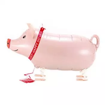 Ходящий шар «Поросёнок»