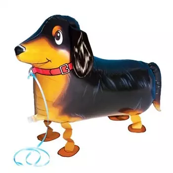 Ходящий шар «Такса»