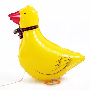 Ходящий шар «Утка»