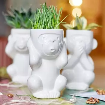 Экочеловек «Обезьяна Игнорик»