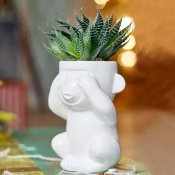 Экочеловек «Обезьяна Слепыш»