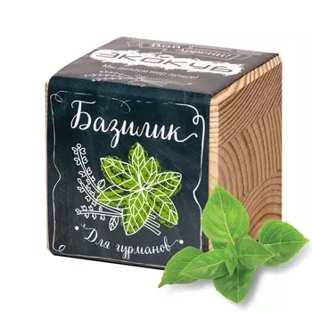 Экокуб «Базилик»