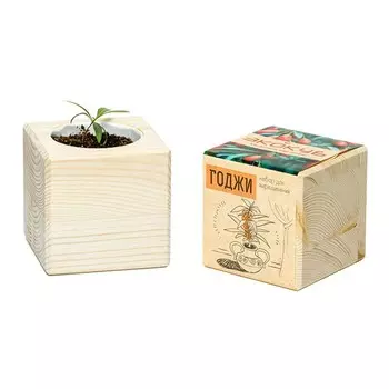 Экокуб «Годжи»