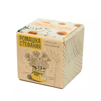 Экокуб «Ромашка Стефания»