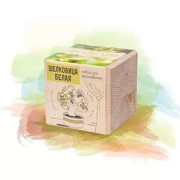 Экокуб «Шелковица Белая»