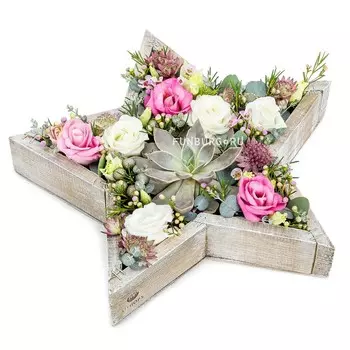 Композиция «Счастливая звезда»