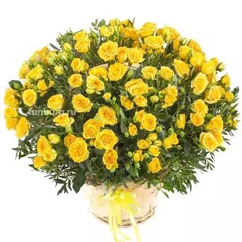 Корзина цветов «Бразилия»