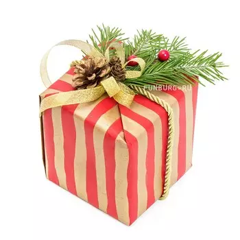 Подарочная упаковка «Новогодняя №6»