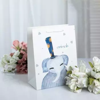 Подарочный пакет «Коллекция №2» (в ассортименте)