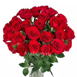 Розы 50 см