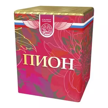 Салют (20 залпов) «Пион»