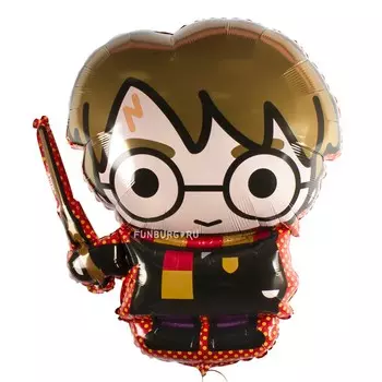 Шар из фольги «Гарри Поттер»