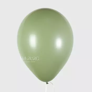 Шарик без рисунка «Эвкалипт»