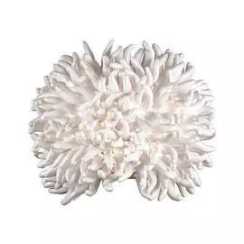 Бра Odeon Light Esma 2755/1W