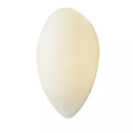 Бра St Luce Bagno SL507.551.01