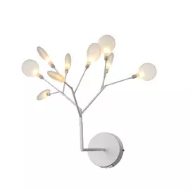 Бра St Luce Riccardo SL411.521.09