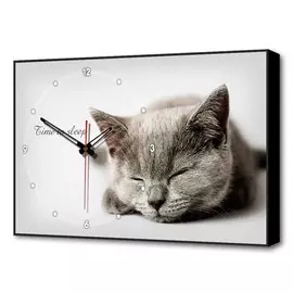 Часы-картина Toplight 37х60 TL-C5022