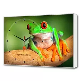 Часы-картина Toplight 37х60 TL-C5023