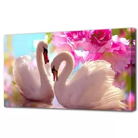 Холст Toplight 50х100 TL-H1200