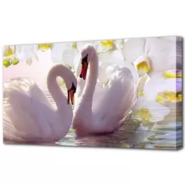 Холст Toplight 50х100 TL-H1201