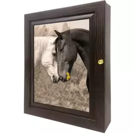 Ключница Toplight 29х24 TL-KVG0164