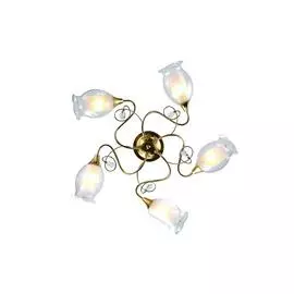 Люстра Arte Lamp MUGHETTO A9289PL-5GO