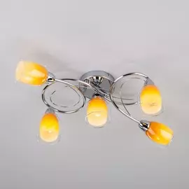 Люстра Eurosvet Potpourri 30153/5 4690389145117